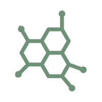 Structured Protocol System